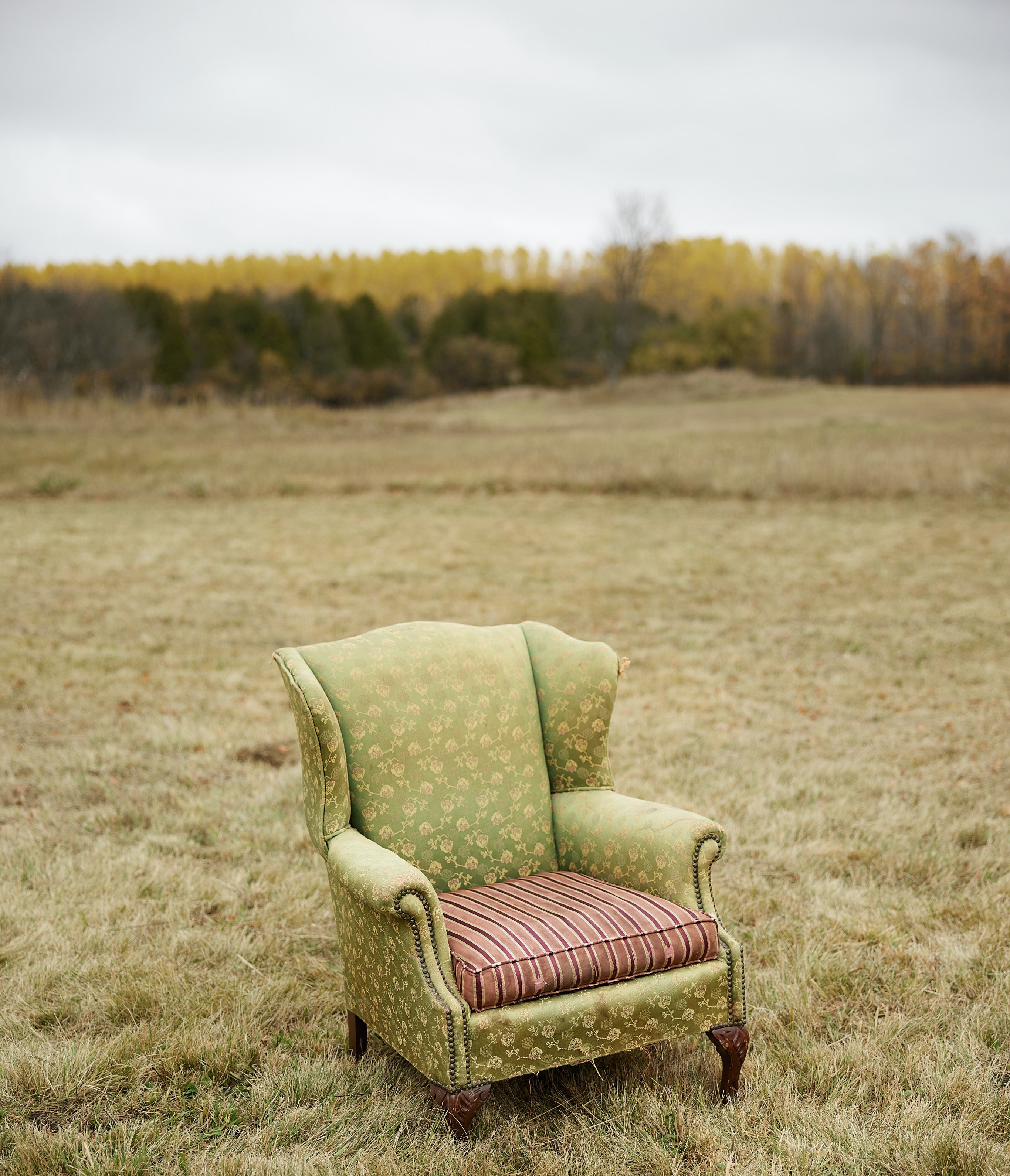 A green chair with a flower pattern and a red striped seat cushion in a grassy field