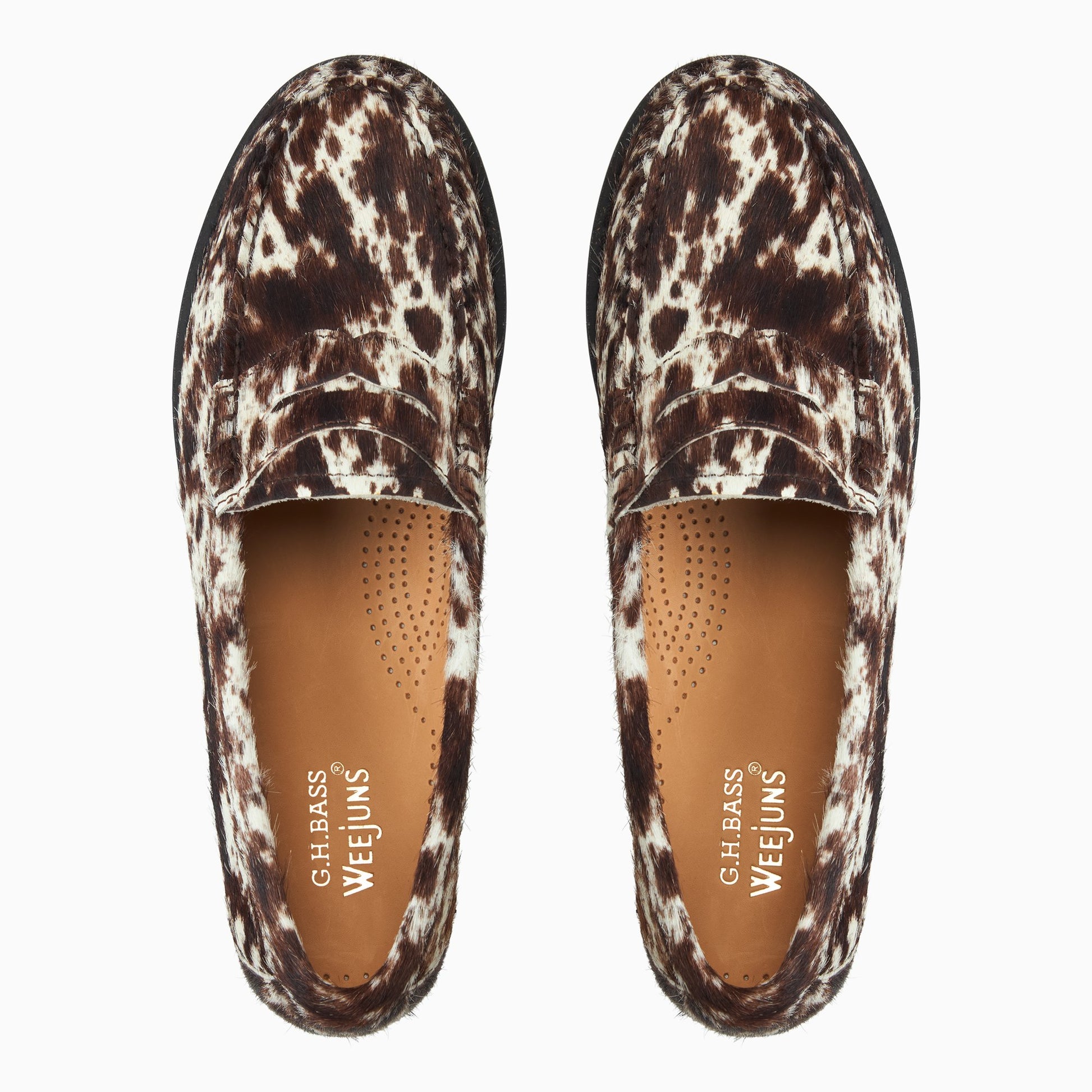 Three-quarter angle of Black/white Women's Whitney Weejuns® Penny Loafer Penny Loafers's front side