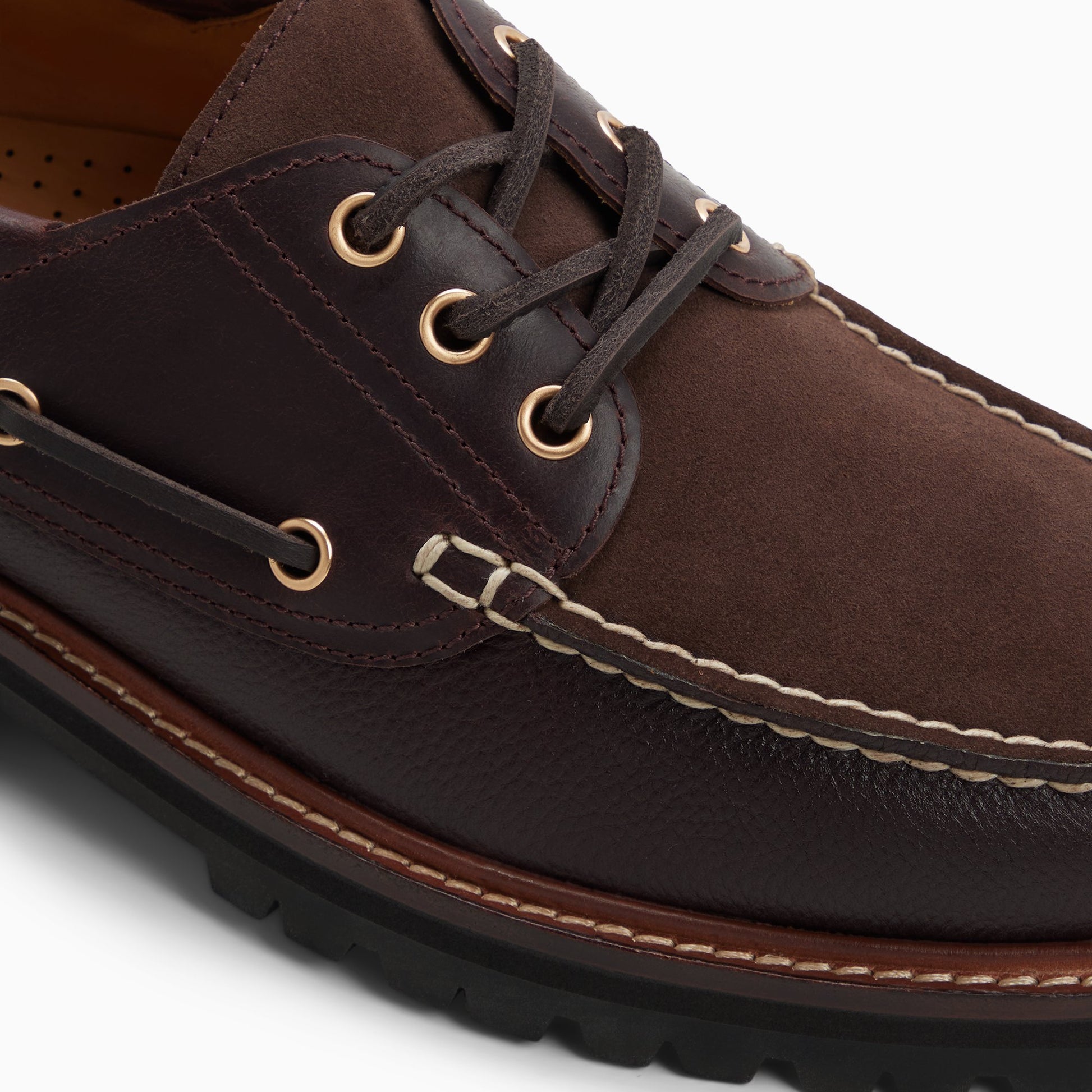 Top-down view of the Other brown Wanderer_mm